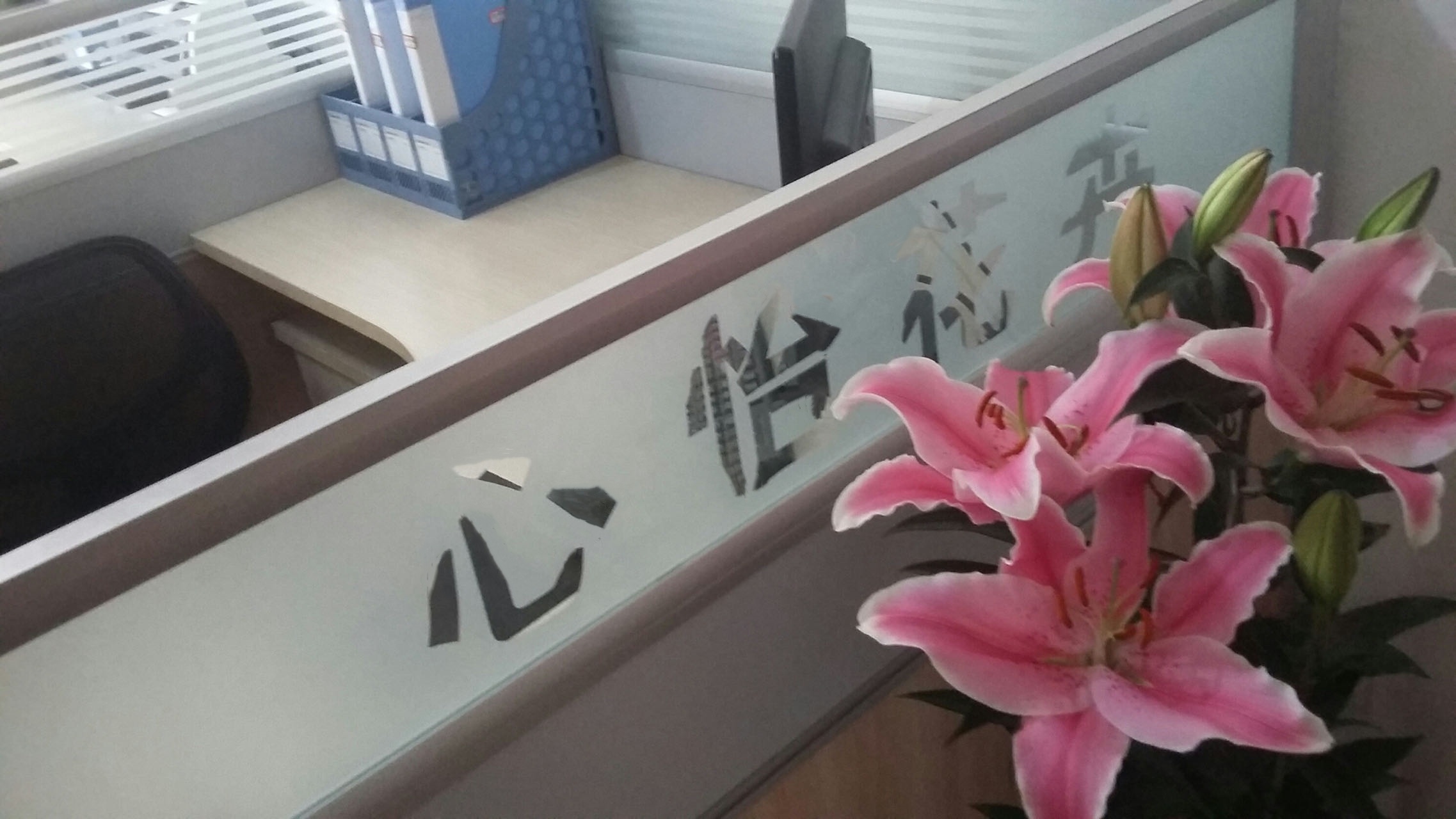 成都心怡花卉租賃有限公司